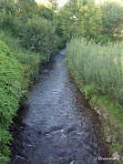 La Combeauté à Faymont